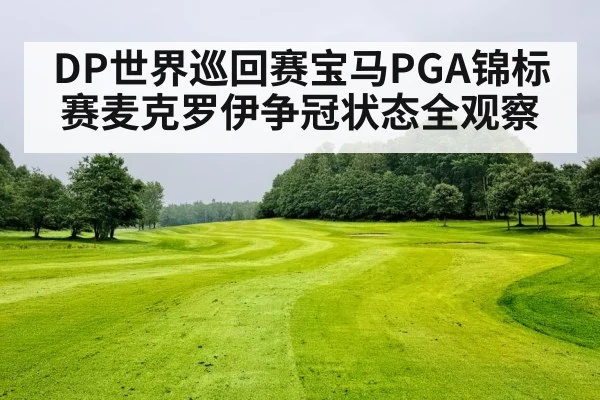 DP世界巡回赛宝马PGA锦标赛麦克罗伊争冠状态全观察 - kaiyun